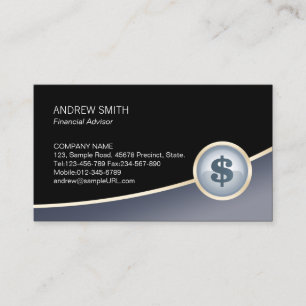 Financial Advisor Finance Dollar Icon Business Car Card