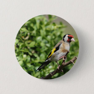 FInch 6 Cm Round Badge