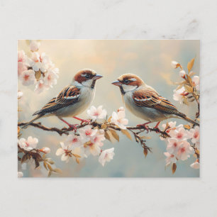 Finch Birds on a Cherry Blossom Branch Postcard