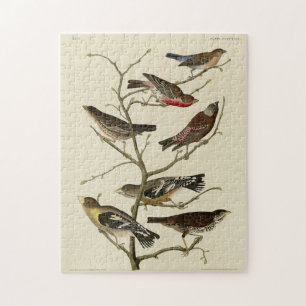 Finch, Bunting, Grosbeak, Audubon Birds of America Jigsaw Puzzle