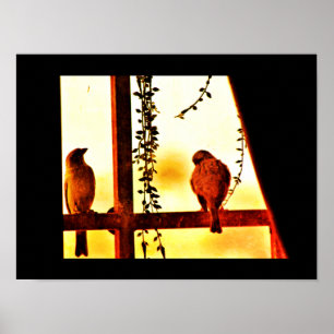 Finch Friends Poster
