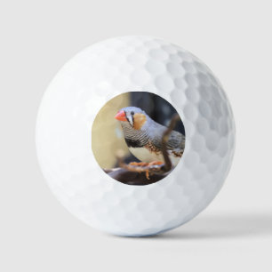 Finch Golf Balls
