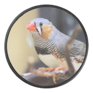 Finch Hockey Puck
