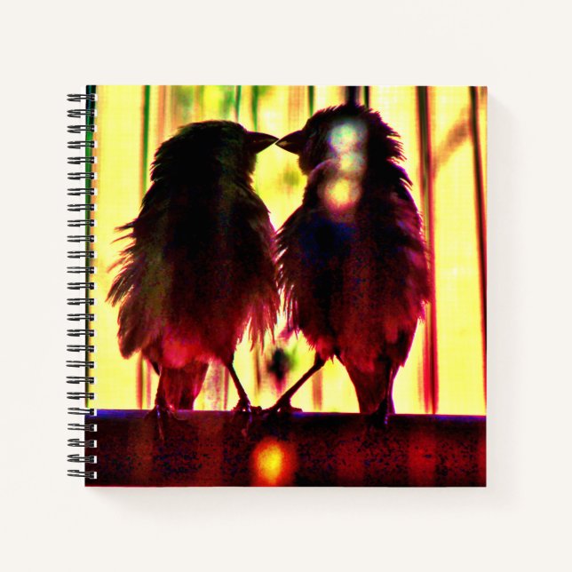 Finch Love Notebook (Front)