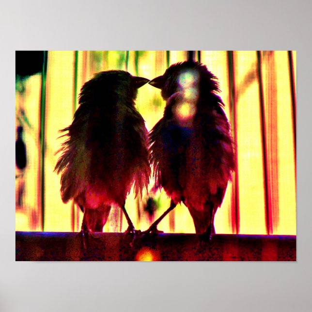 Finch Love Poster (Front)