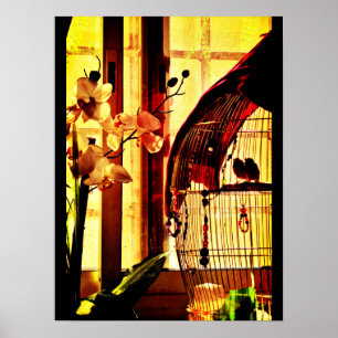 Finch Love Poster