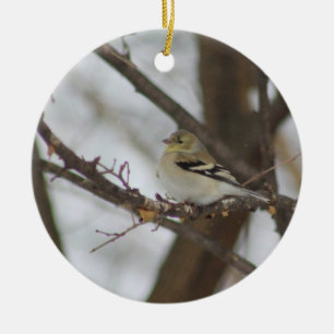 Finch Ornament