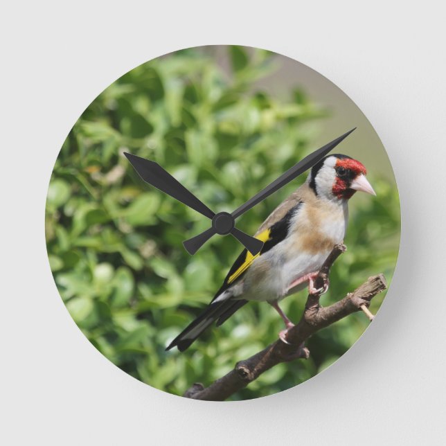 FInch Round Clock (Front)