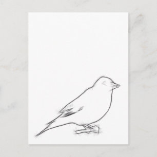 Finch Sketch Postcard