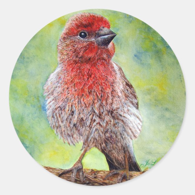 Finch Stickers (Front)