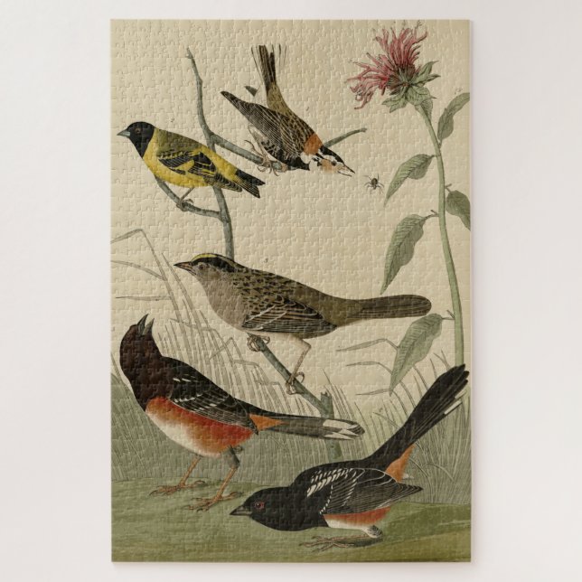 Finch, Towhee, Sparrow, Audubon's Birds of America Jigsaw Puzzle (Vertical)