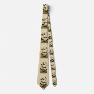 Finch, Towhee, Sparrow, Audubon's Birds of America Tie