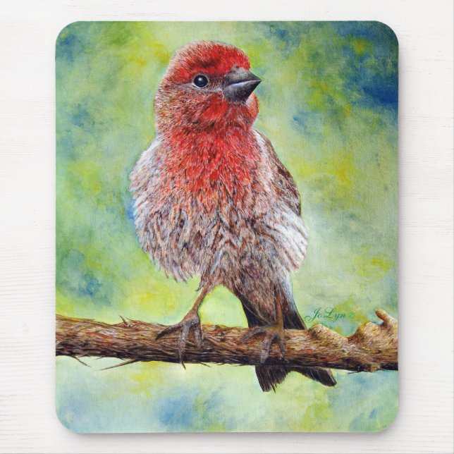 Finchy Mouse Pad (Front)