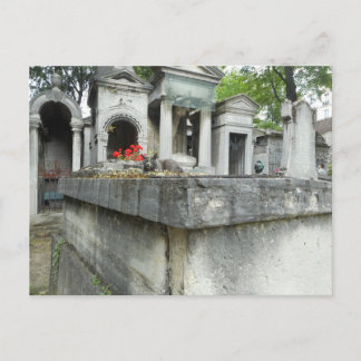 Find a Cat! Postcard