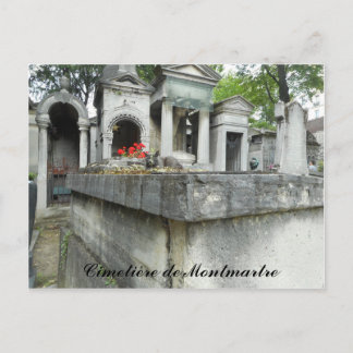 Find a Cat! (text) Postcard