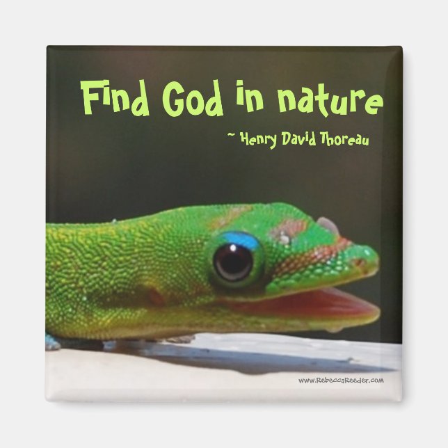 Find God in nature Magnet (Front)