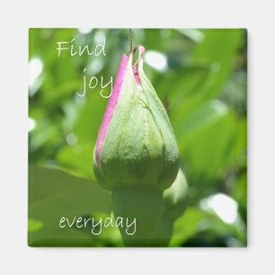 Find Joy Everyday Magnet