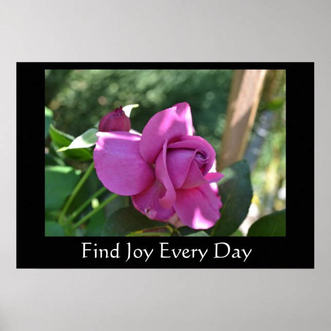 Find Joy Rose Inspirational Poster (Front)