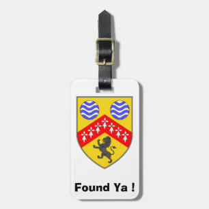 Find My Luggage Personalised Laois County ID Tag. Tag
