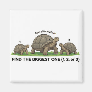 Find the Biggest One Animal World Quest for Toddle Magnet