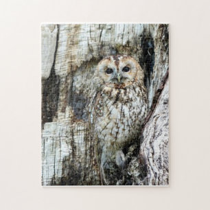 Find The Owl Jigsaw Puzzle