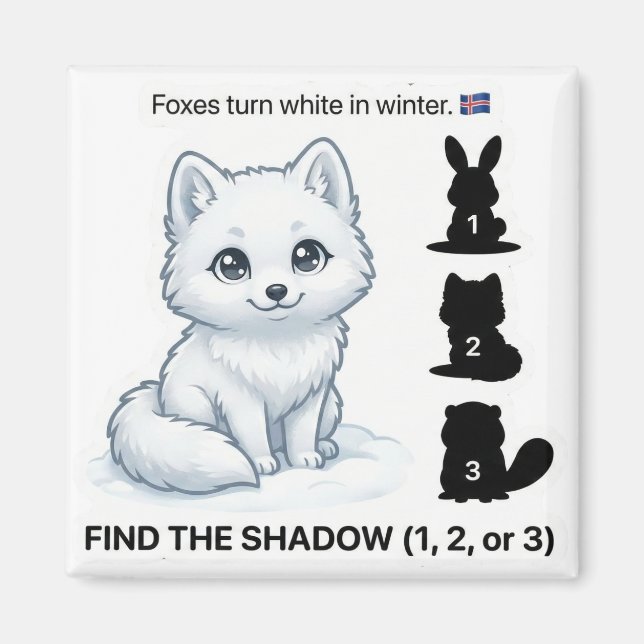 Find the Shadow – Arctic Fox Learning Magnet (Front)