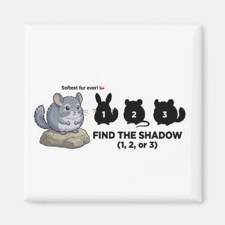 Find the Shadow Chinchilla Animal World Quest for  Magnet