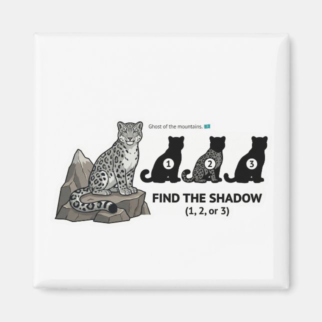 Find The Shadow: Snow Leopard Kazakhstan Animal Wo Magnet (Front)
