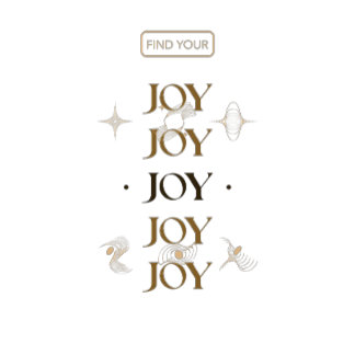 Find Your Joy T-Shirt