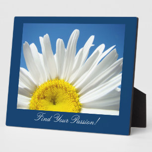 Find Your Passion! plaques counter signs Daisies