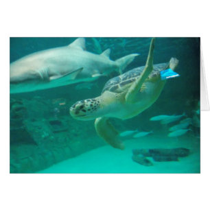 Find Your Sweet Spot