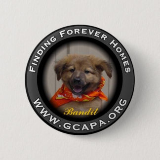 Finding Forever Homes 6 Cm Round Badge