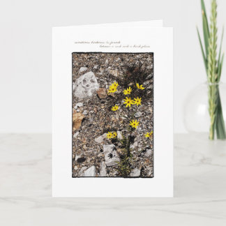 Finding Kindness Note Card