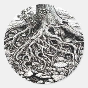 Finding Your Roots Tree Sticker