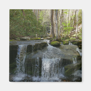 Findlay Falls I Magnet
