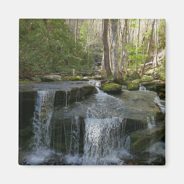 Findlay Falls I Magnet (Front)