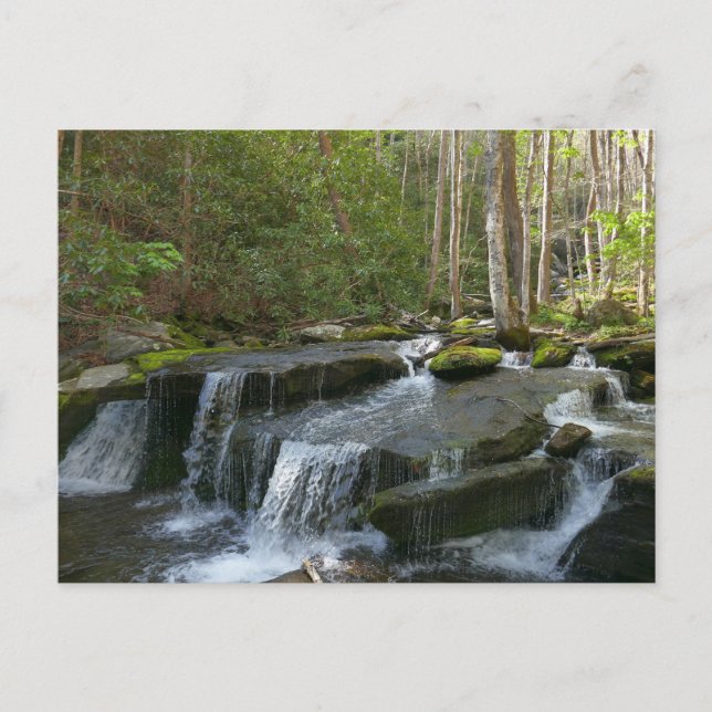 Findlay Falls II Postcard (Front)