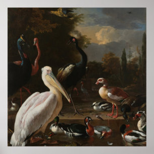 Fine art birds poster