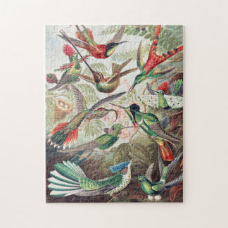 Fine Art by Ernst Haeckel Jigsaw Puzzle