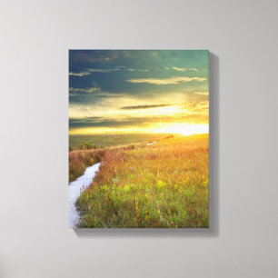 Fine Art Canvas Print - Konza Prairie