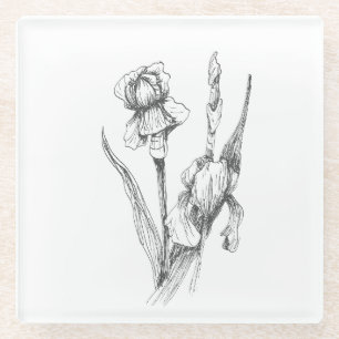 Fine Art Drawing, Iris Flower, Botanical Art Glass Coaster
