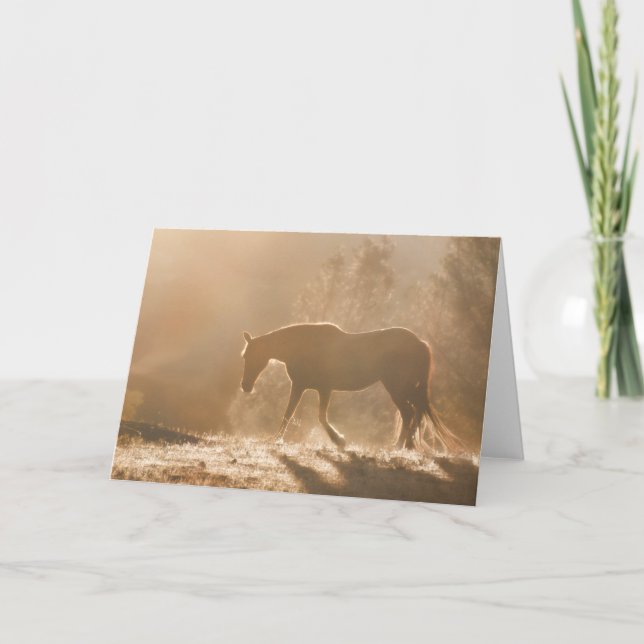 Fine Art Equine Blank Note Cards (Front)