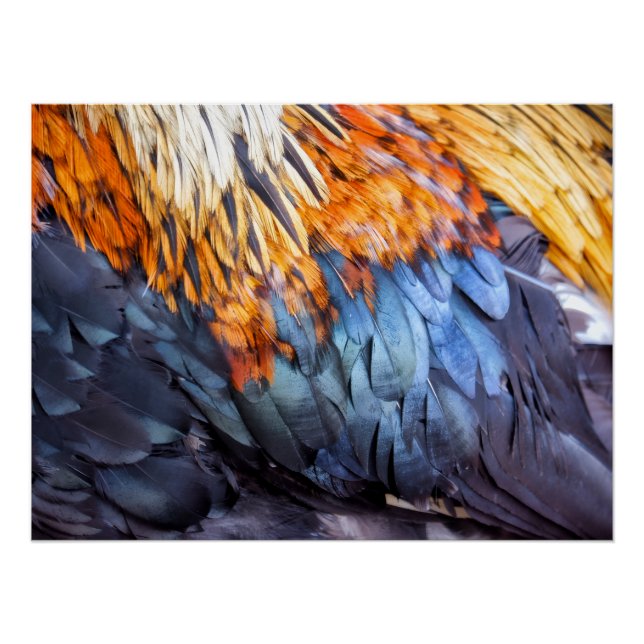 Fine Art Feather Poster (Front)