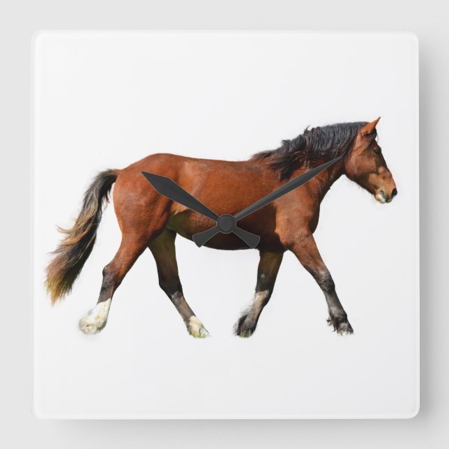 Fine Art Horse Painting Square Wall Clock (Front)