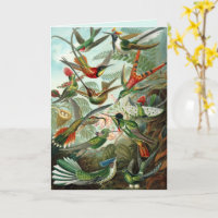 Fine Art Hummingbirds Custom Greeting
