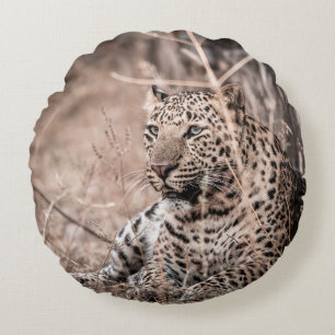 Fine art image of Huge wild male leopard or panthe Round Cushion