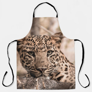Fine art image of male leopard or panther portrait apron