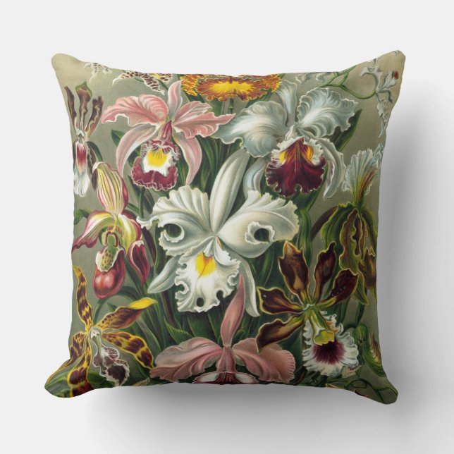 Fine Art Orchids - Art Forms of Nature Cushion (Front)