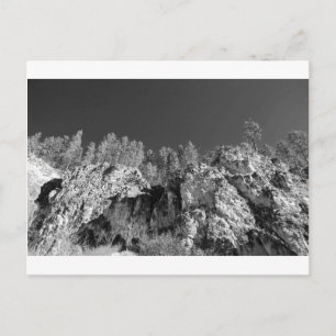 Fine Art Print Spearfish Canyon, Black Hills, SD Postcard