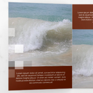 Fine Bordeaux Contemporary Transparency Tri-Fold Card